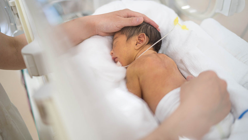 入所中 - 出産までの流れ - 東御市立助産所とうみ