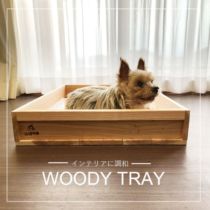 犬のトイレ囲いを100均グッズで手作り！作り方や注意点を紹介わんちゃんホンポ