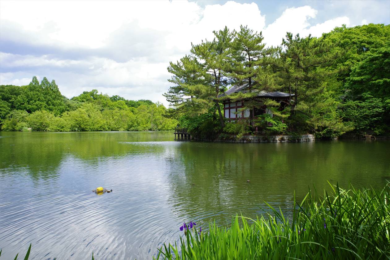 石神井公園で保全作業イベント！ : 今日の工房