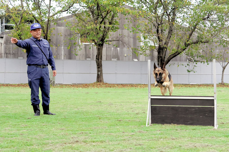 東京大学野球部 データで支える学生アナリスト「弱者の兵法」で勝利に導く｜テレ東スポーツ：テレ東