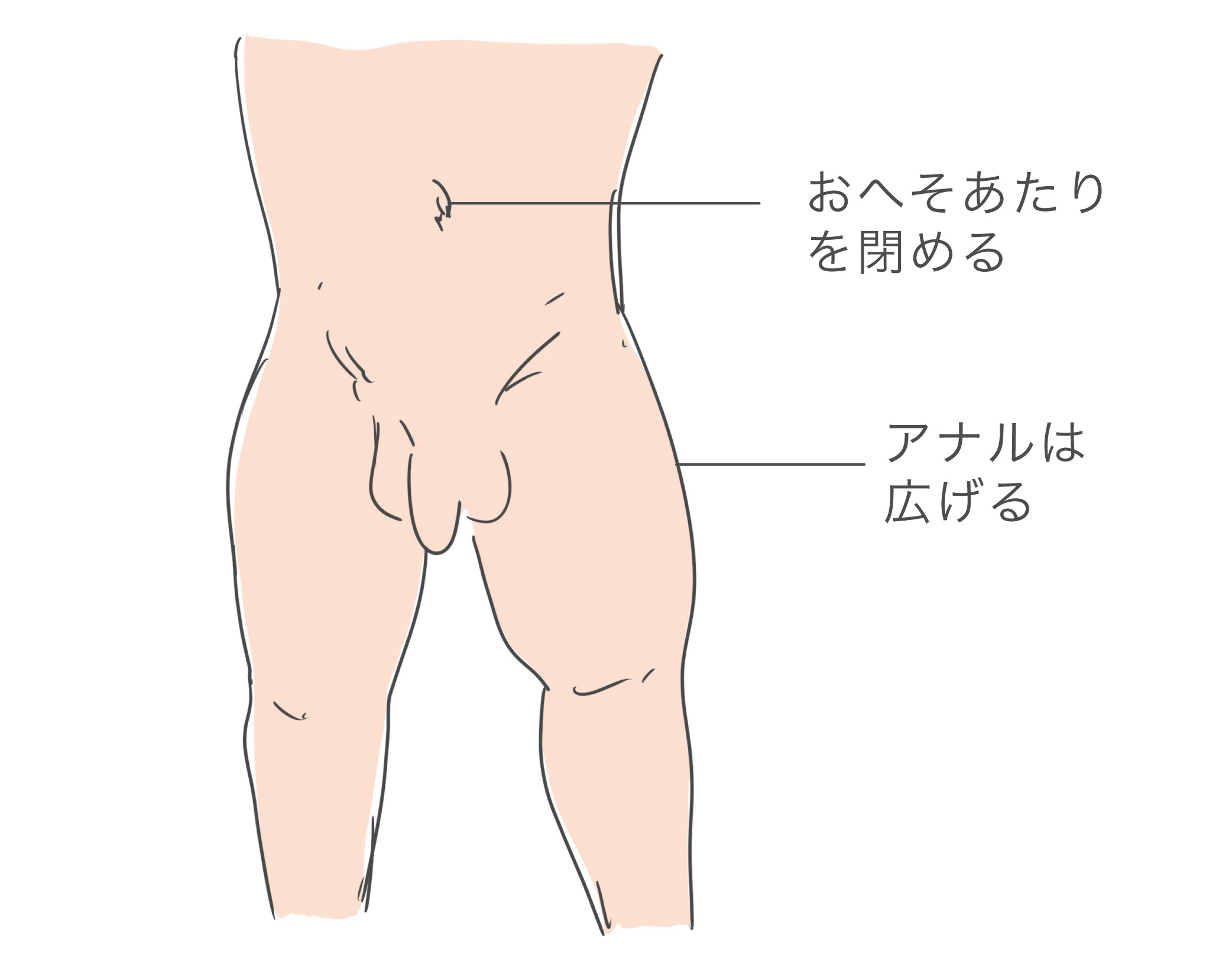 アナル縦割れしてますか？ | Peing