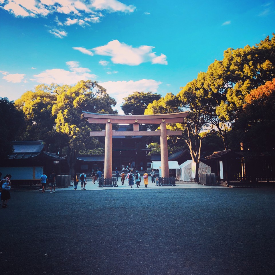 明治神宮の参拝ガイド！初詣の参拝客数が日本一の神宮は自然豊かで多彩な魅力がいっぱい！楽天トラベル