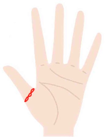 家族を大切にする人の手相」 親指の付け根の関節に ある鎖状の線はファミリーリングと言います。 この線のある人は家族思いで家族間の結びつきをとても大切にします。 子煩悩でもあって 親になることで より充実した人生を送れるようになります