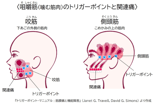 猫が飼い主を噛む理由とは？対処法を詳しく解説 | nekocan［ネコキャン］- 猫との暮らしを、もっと素敵に。