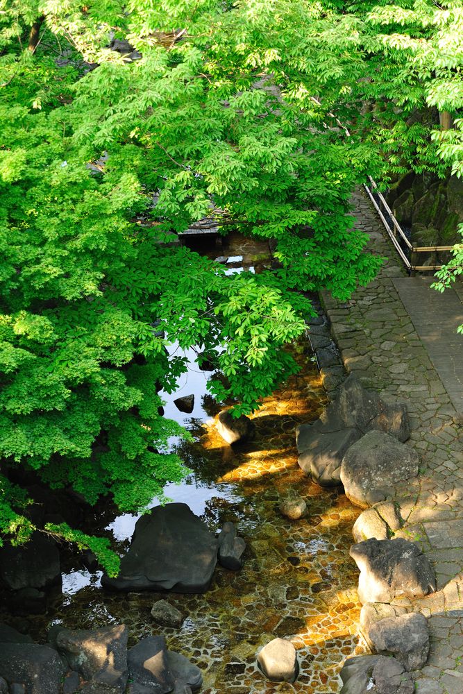 青島水光苑ホテル（宮崎県宮崎市）：合宿施設一覧｜合宿・サークル・クラブ・ゼミ・研修など合宿の宿泊施設～Majicam.jp（マジキャン）～