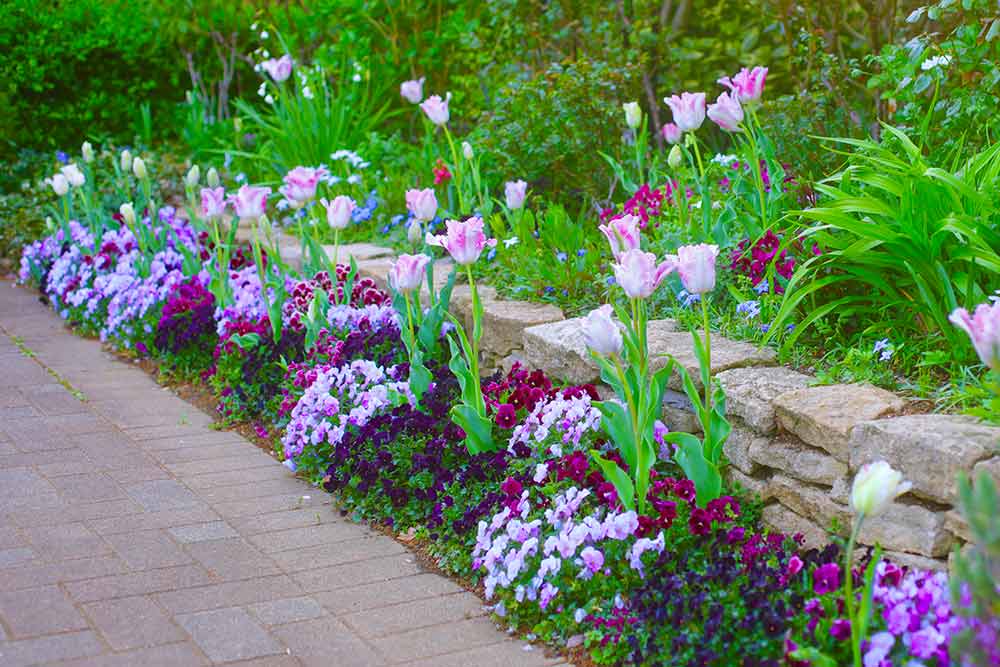 剪定・伐採・草刈りなど庭手入れ専門造園業者植木屋smileガーデン