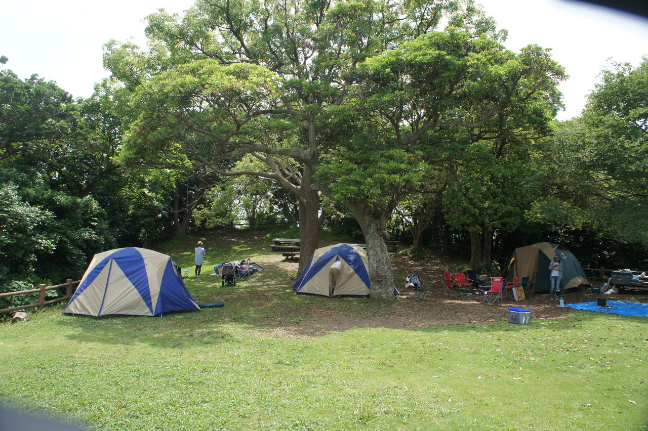 母子キャンプデビュー 6歳娘と初めての母子キャンプ！学校終わり16時から始めるキャンプ♪ - YouTube