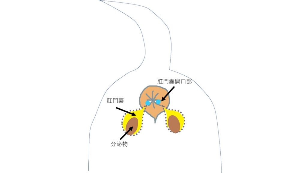 ネジを舐めたら焦らずに試してみて！修正のコツ（DIY道楽のテツ） - エキスパート -