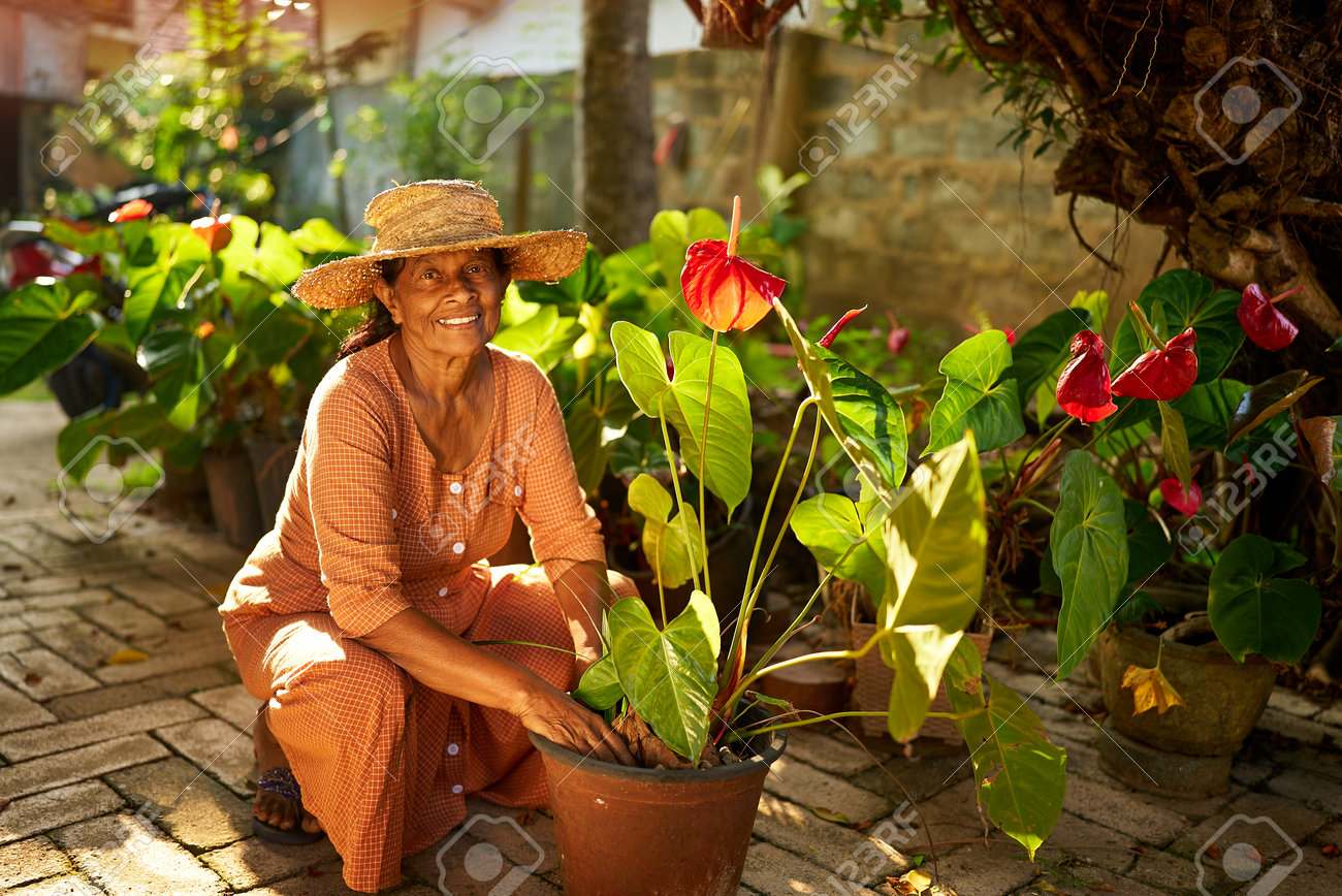 楽天市場 おばあちゃん 農作業 帽子の通販