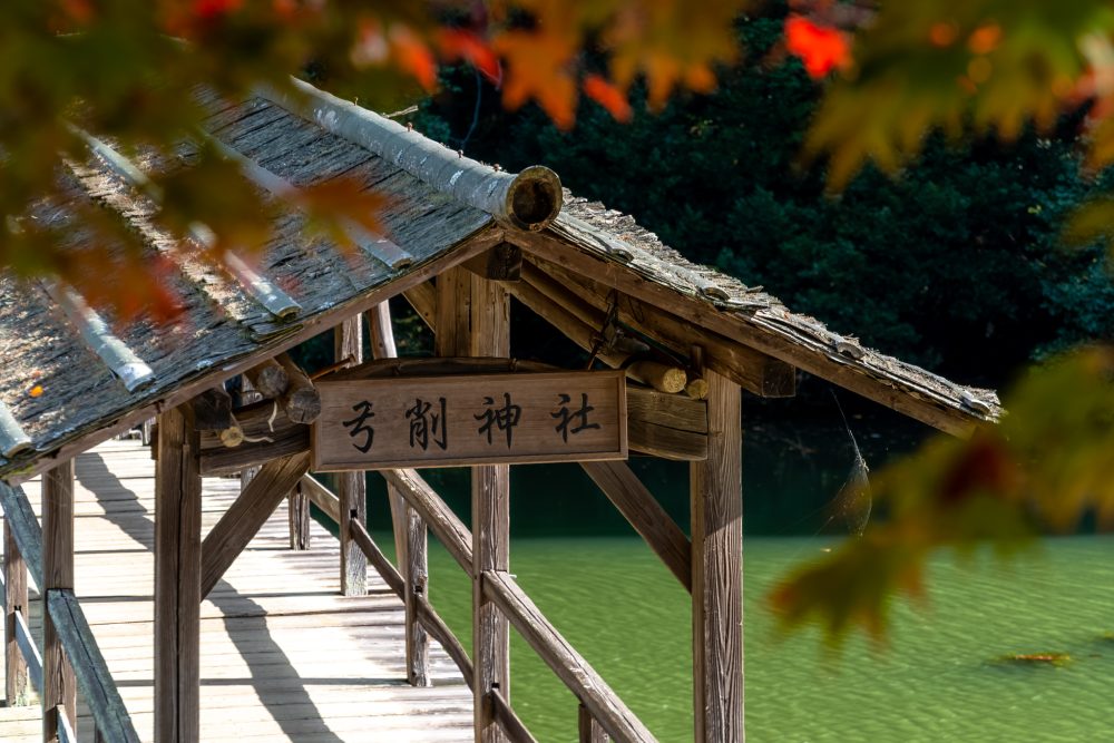 📍愛媛県 弓削神社,ehime ,japantravel,愛媛観光,弓削神社 ,retrip_nippon ,新緑
