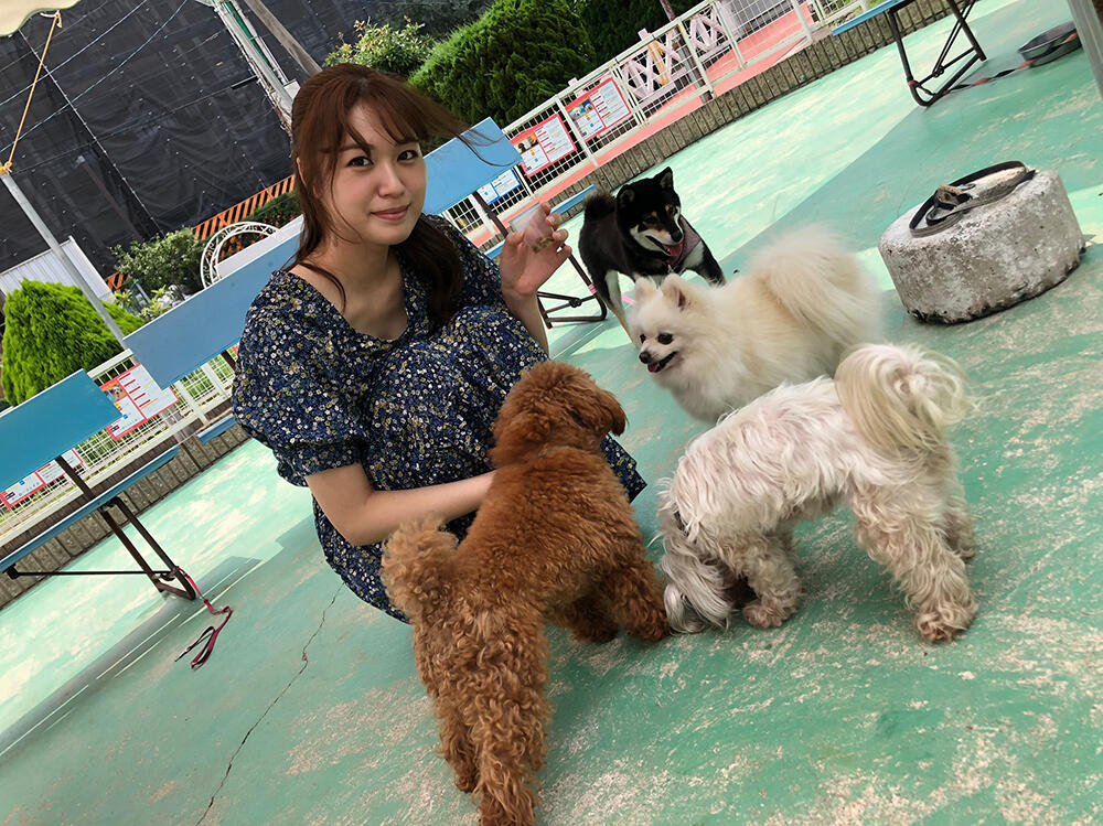 Milestone-Proposal:Gennai Hiraga's Erekiteru: First Electrostatic Generatorin Japan, 1776 - IEEE Milestones Wiki