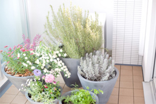 花のある暮らしで癒され空間を手に入れよう！おうち時間の充実にも花と笑顔を暮らしのそばに − はなのわ