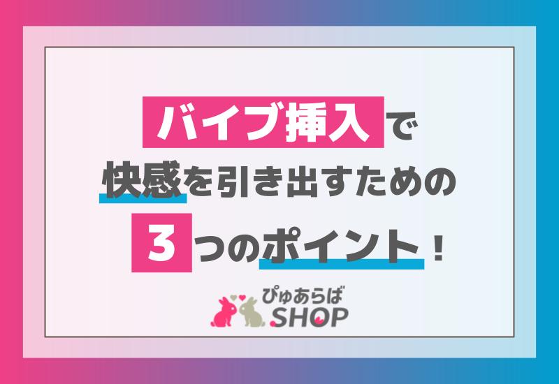 アパレル通販モデル番外編 艶のあるお姉さんのパンティに穴をあけ指やバイブを挿入して連続イカセ！ |