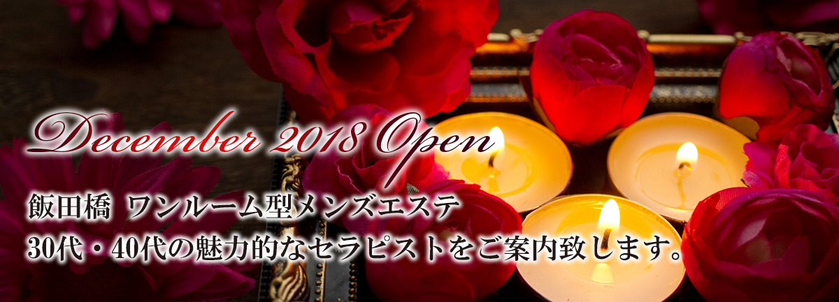 2024年のTOP8】飯田橋のおすすめメンズエステ人気ランキング - 俺のメンズエステナビ