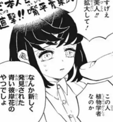 伊之助とアオイの結婚カップルになった２人の出会いとその後！│鬼滅の参考書