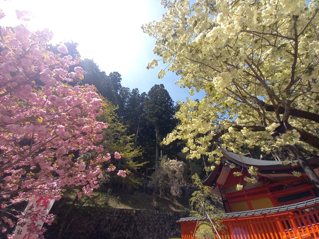 桜井識子 さんのblogや著書に紹介された神社仏閣へ行ってみました♪Part.１ - 金沢・能登おすすめ観光スポット