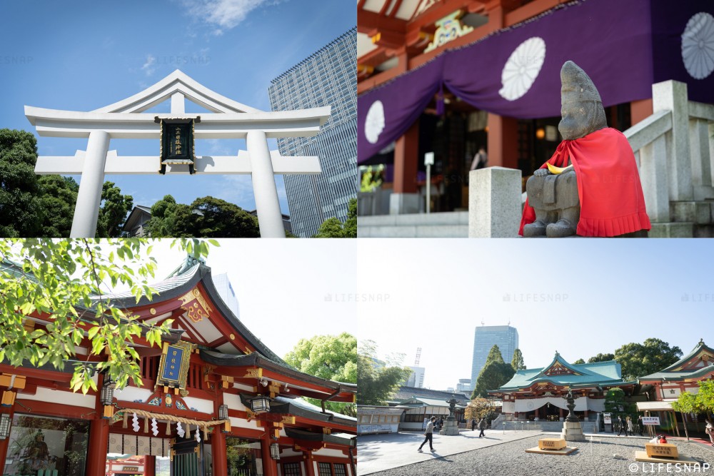 名古屋 七五三 出張撮影におすすめの神社6選！ - 愛知 ・名古屋から全国へ出張撮影カメラマン中屋隼