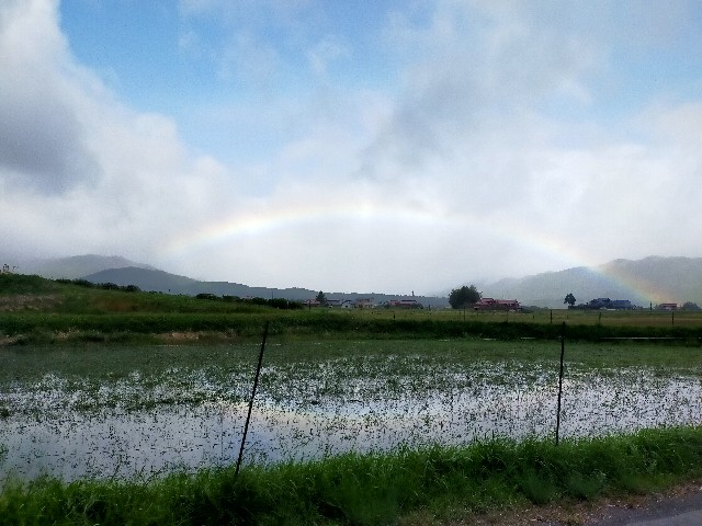 大きな虹がかかりました！daily news