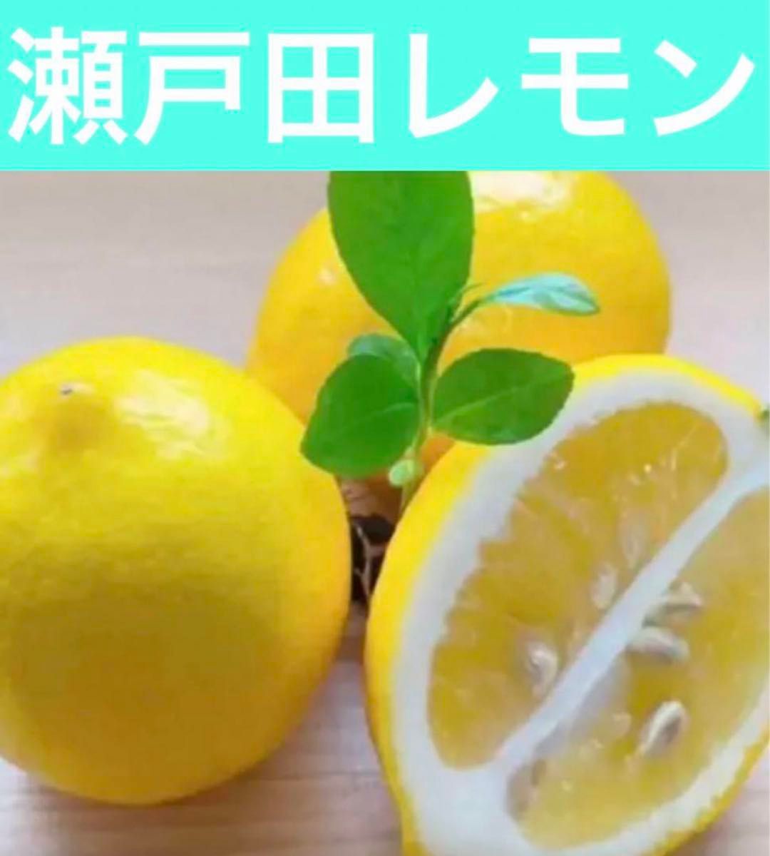 レモンとライム付きのミルクバスを持つかわいい可愛い赤ちゃんの男の子 白い背景でレモンを食べる少年 — ストック写真 ©alexandritik@gmail.com354070878