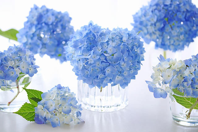 生花 秋色アジサイを使ったナチュラルブーケ結婚式 フラワー 生花 ブーケ ブートニア– 結婚式準備サイトCORDY コーディ