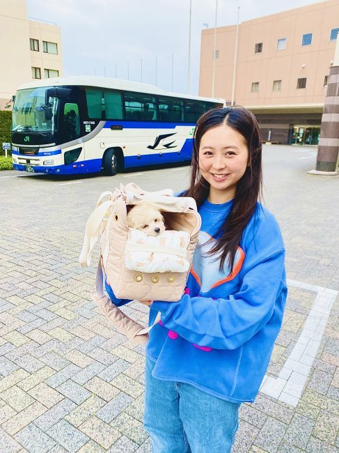 可愛すぎる 👼👼👼 @なにわ男子Storm Labels大西流星岡野すこやかTikTok