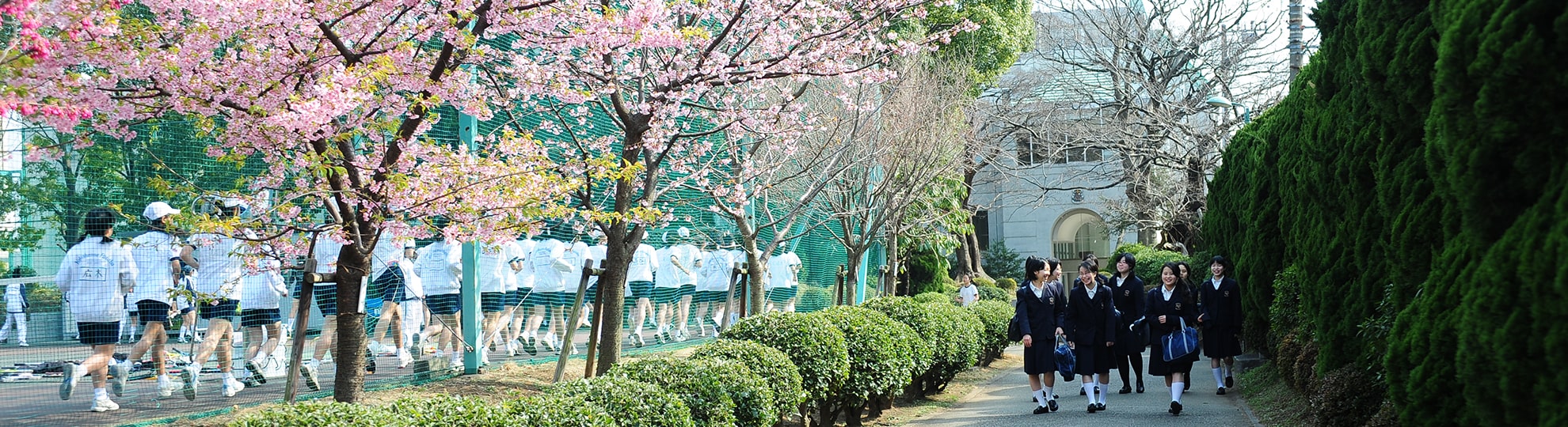 🌸新年中 横浜雙葉クラス 体験会🌸,2020.4.2〜2021.4.1生まれの方 , 横浜雙葉小学校を目指すために、新年中の今、,習得しておくべき課題に取り組みます。, 保護者の皆様には横浜雙葉合格に向けてどのような, 準備が必要なのか、担当講師より詳しくお話させて,いただきます。, 日時：3月23日 日 13：30〜14：40, 内容：ペーパー・指示製作・指示運動等,