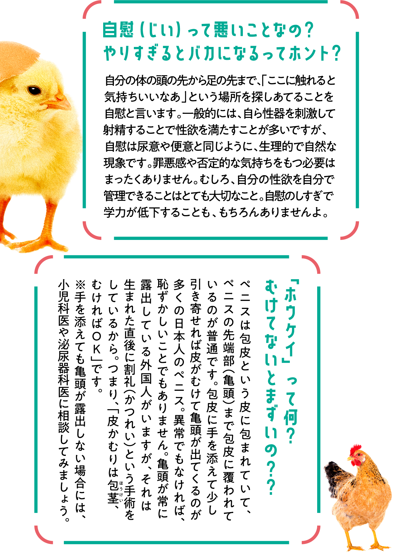 オナニーのしすぎはEDのリスクを高める? 自慰の頻度・手法に関する実態調査 | ナイトプロテインPLUS