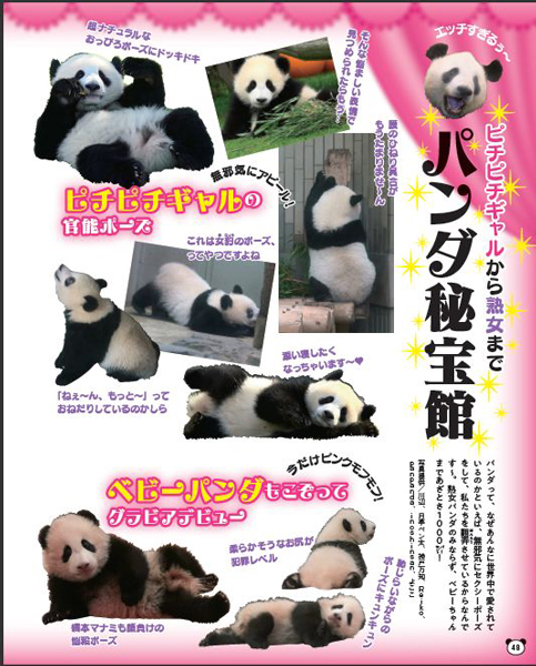 パンダ見たいなら中国に来るべき」との声も 。返還続く 日本暮らしのパンダ 。私たちの愛する｢白黒のモフモフ｣は、いつ日本に戻るのか？中国・台湾東洋経済オンライン