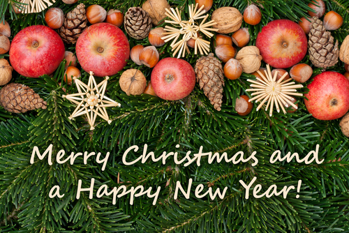 クリスマスカードを英語で書く！初心者でもOKの英文例とクリスマスメッセージ - エレガンス英会話