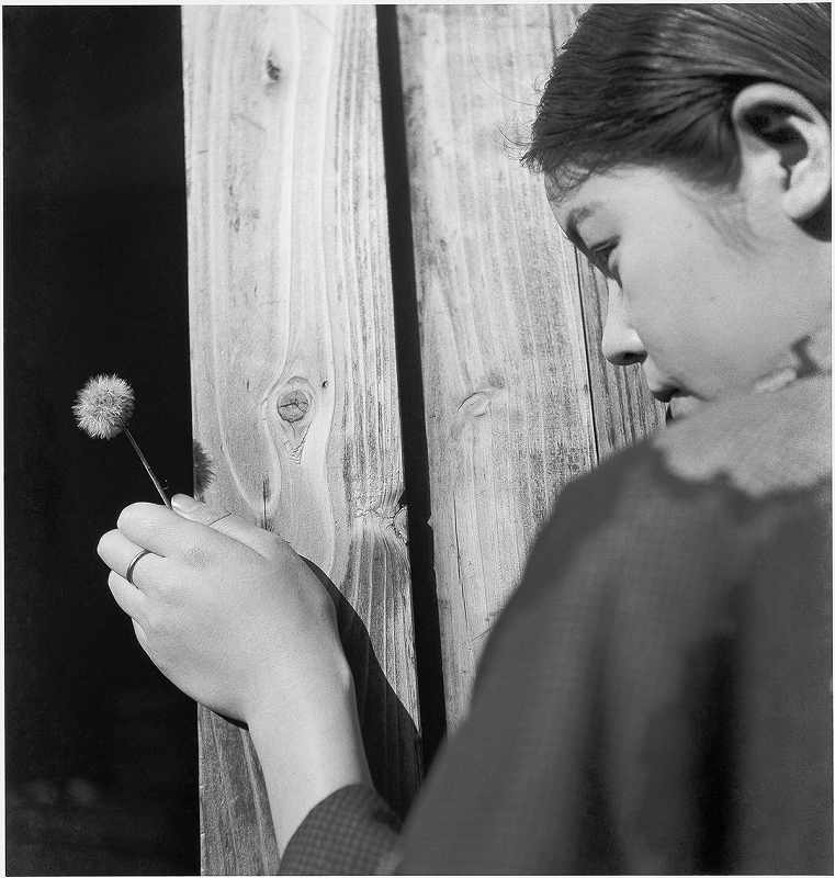 植田正治「妻のいる砂丘風景 III 」「砂丘D」～銀塩写真の魅力 IV展 : ギャラリー ときの忘れもの