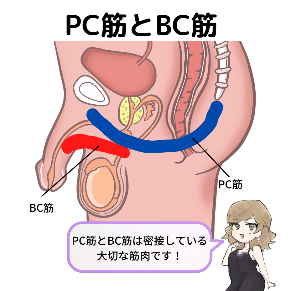 メスイキ－谷町人妻ゴールデン倶楽部｜谷九／Ｍ性感マッサージ｜大阪 風俗 ビッグデザイア関西の特集コンテンツ