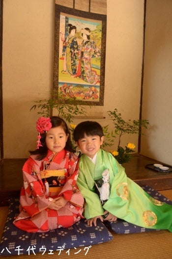 楽天市場 雄蝶 雌蝶の通販