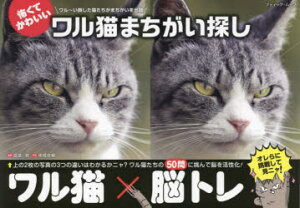 おばあちゃんの趣味がない！老後から始めるおススメ9選シニアライフハック