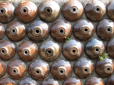 集合体恐怖症の方はご注意を : 串本マリンセンター センター前日記