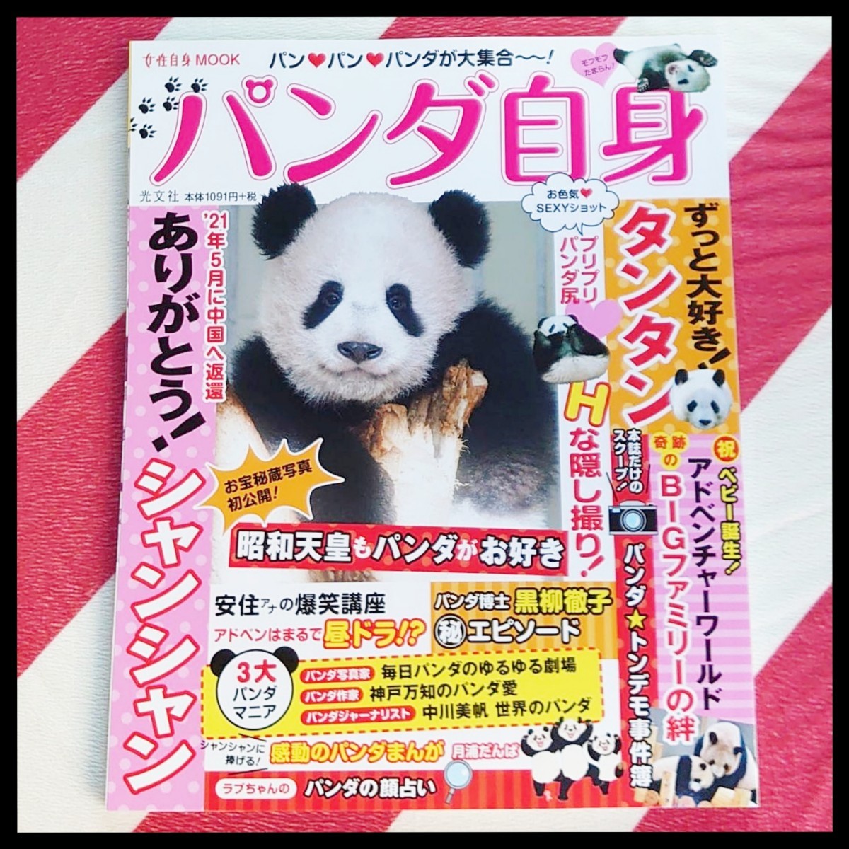 動物人相診断占い！16タイプの顔タイプでわかる性格・恋愛傾向ホイミ