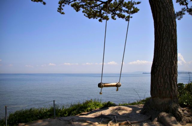 ハイジのブランコ