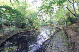 傳通院 伝通院TRY タウンガイド “文京風景”