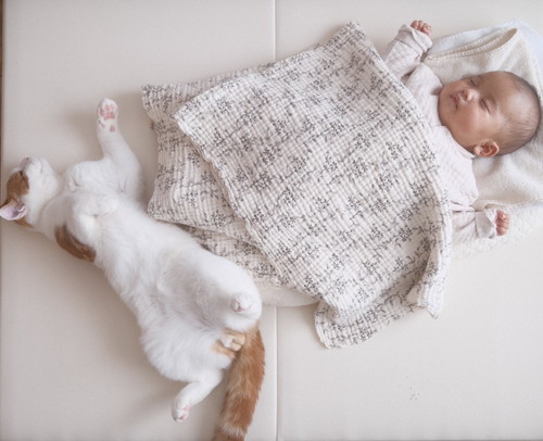 バンザイ寝していませんか？はやし健康グループ