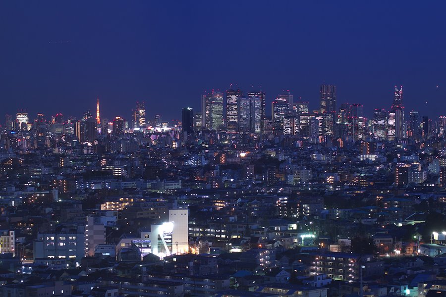 夏の空 練馬から新宿高層ビル群[10510004790]の写真・イラスト素材｜アマナイメージズ