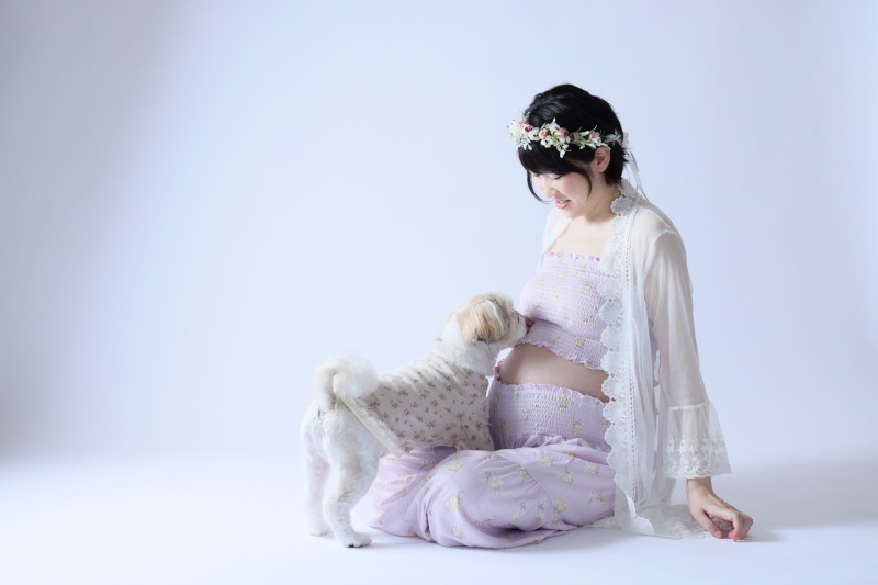 これでOK 犬と一緒にマタニティフォト成功に導く5つのポイント〜貸切スタジオなら大阪の阿部写真館〜 - 結婚写真・フォト ウェディングのお役立ち情報阿部写真館-大阪本町靭公園店