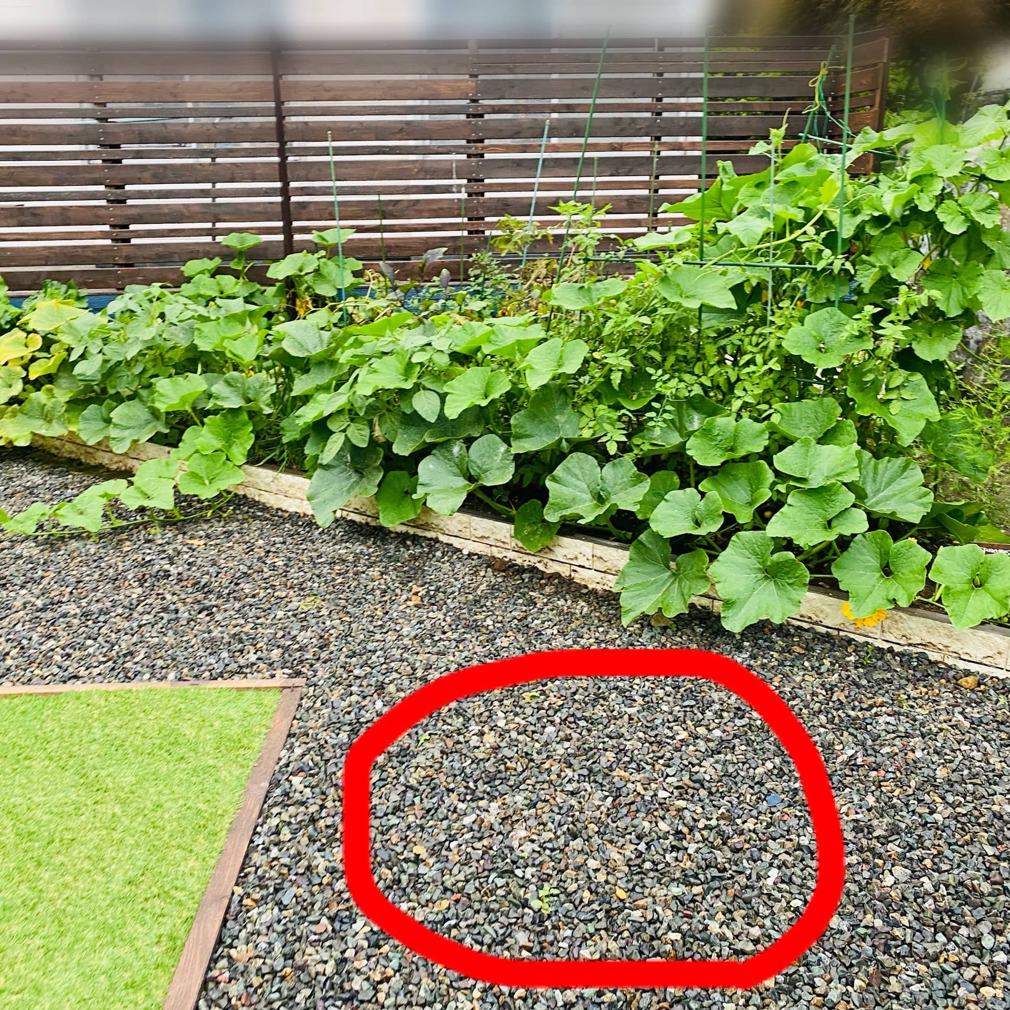 自宅の庭に作った砂場、その後」 - レイコさんの庭のその他 2 2- イエナカ手帖