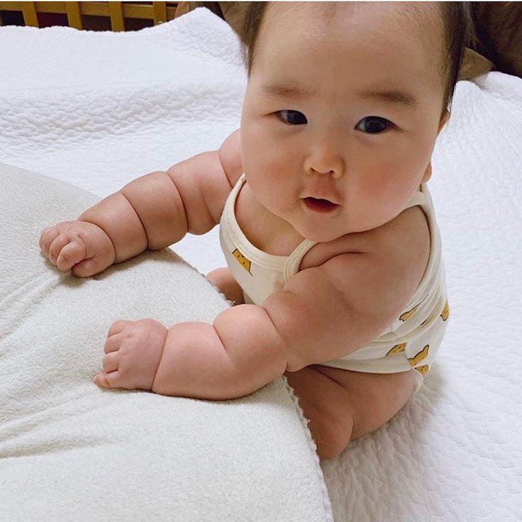 ソファにつかまり立ちしている赤ちゃん→隣にいる犬がママの気をひこうとして 可愛すぎる『まねっこ行動』に「同じくらいの背丈なの最高」と反響わんちゃん ホンポ