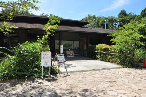 おおかみこどもの雨と雪 : 作品情報・声優・キャスト・あらすじ - 映画.com