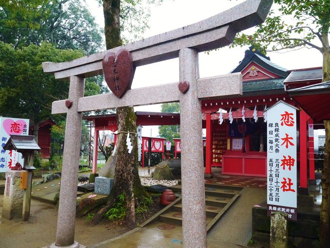 京都で良縁・縁結び祈願！ おすすめの神社をご案内そうだ 京都、行こう