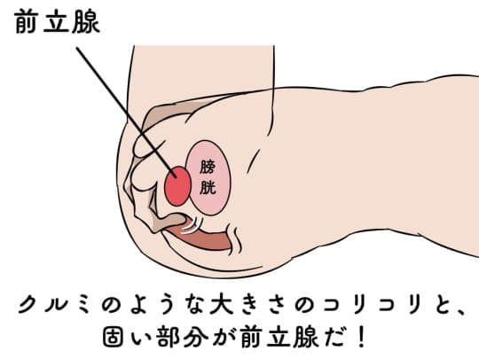 アナルに指入れするやり方を解説！準備の仕方やコツ、注意点について｜風じゃマガジン