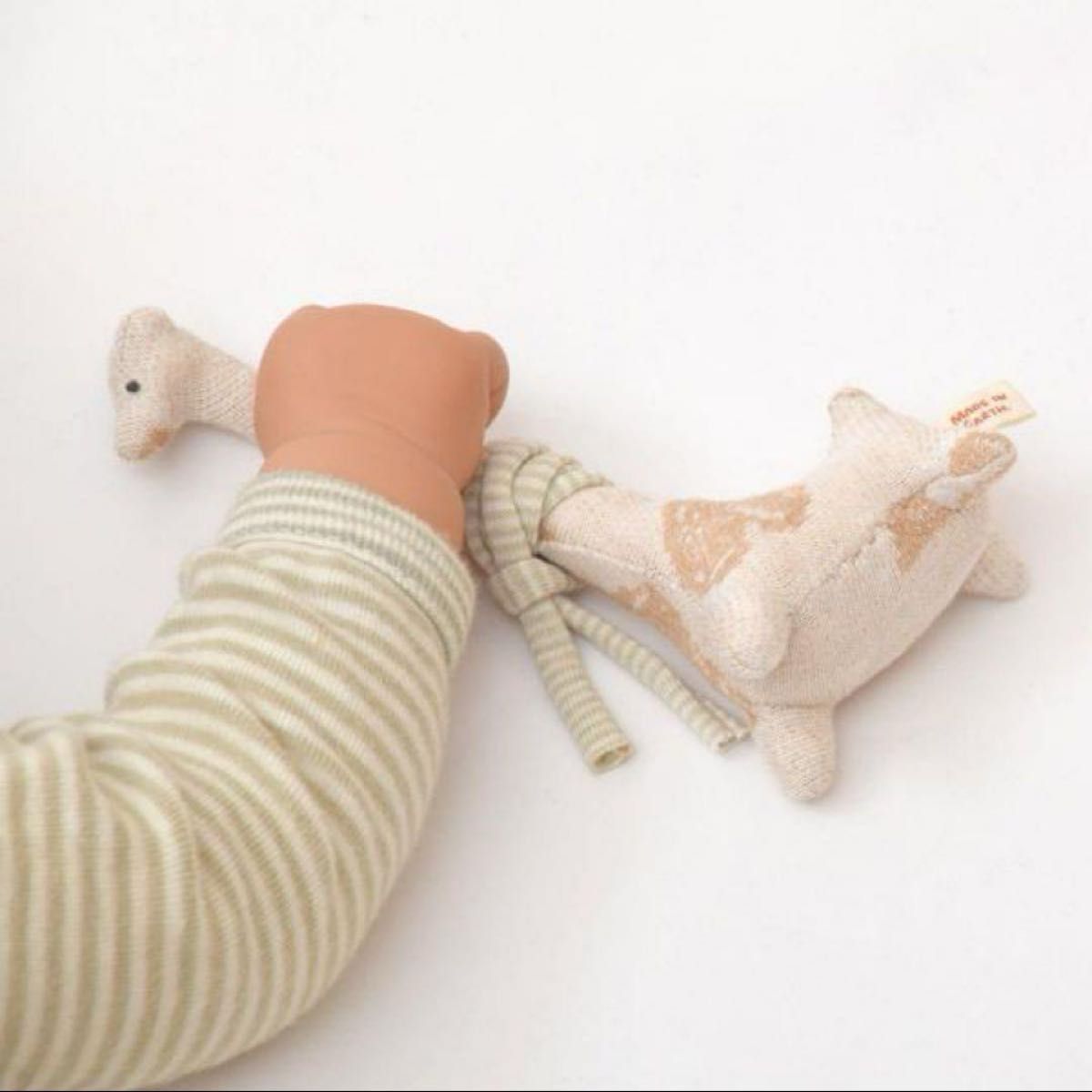 今年2頭目のキョンの赤ちゃん : 動物園放浪記