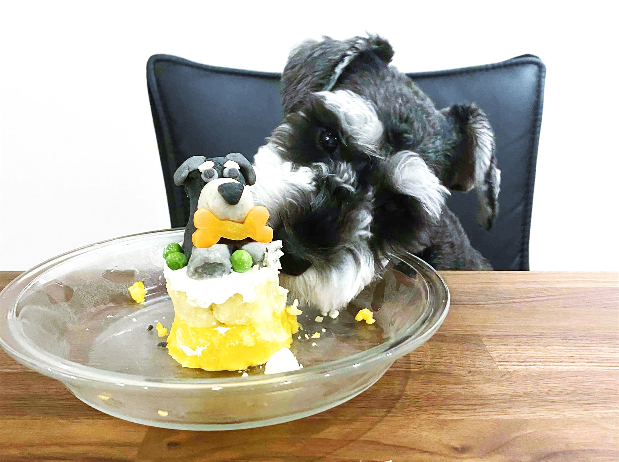 愛犬のための誕生日プレゼント15選ワンちゃんも飼い主も喜ぶアイテムをご紹介Anny アニー