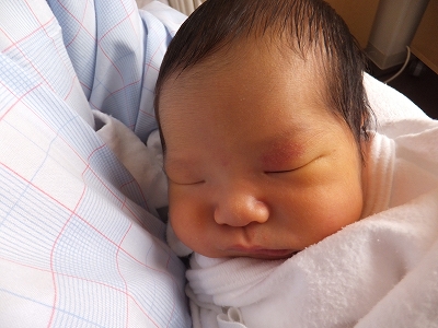 寝顔 ブサイク の写真・画像素材-Snapmart スナップマート