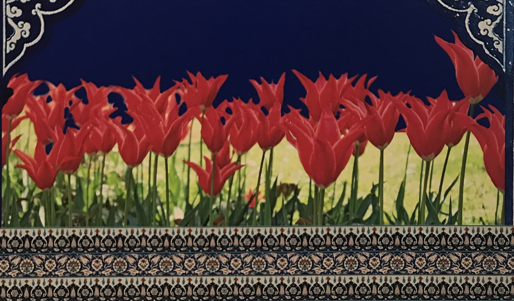 トルコの女の子の名前50選！ – 世界の命名サマリ