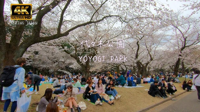 川口春奈風コーデを取り入れてみた！プチプラアイテム活用法